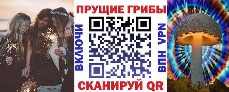 Купить  Харовск  Псилоцибиновые грибы GOLDEN TEACHER 