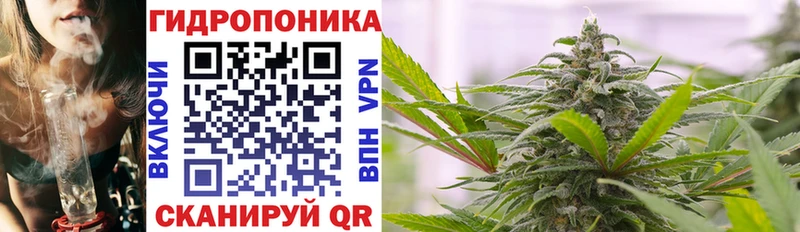 Купить закладки  Харовск  МАРИХУАНА White Widow 